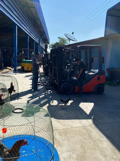 nk-forklift (4)